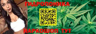 спайс Кунгур